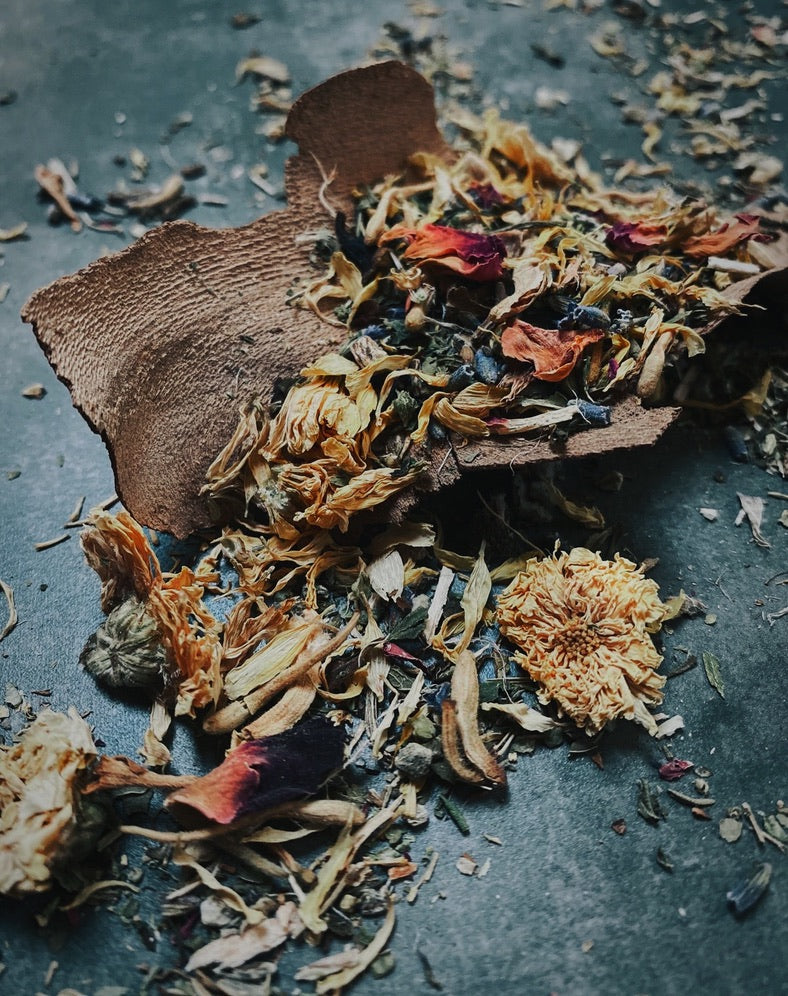 Ancient Medicine Blends