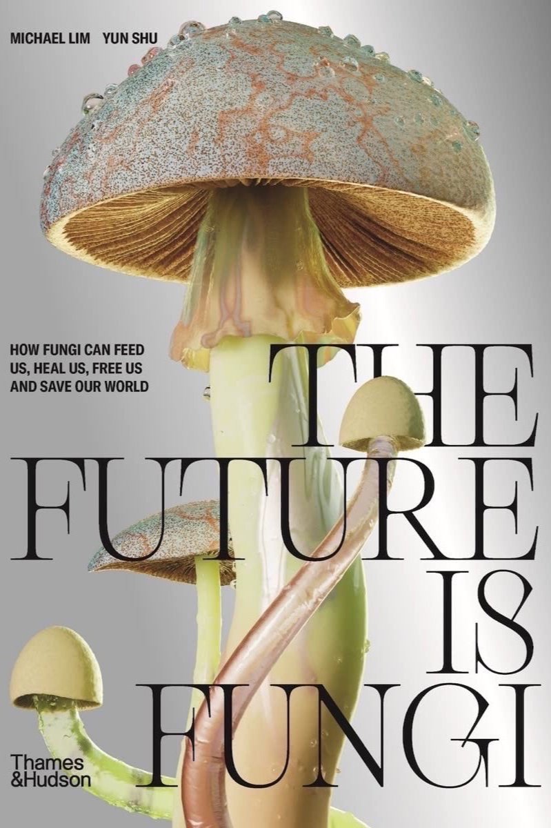 L'avenir appartient aux champignons : comment les champignons nous nourrissent, nous soignent et sauvent notre monde