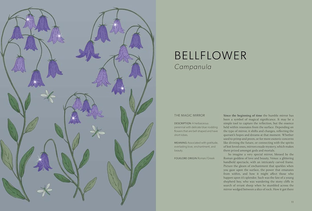 Folklore floral: los cuentos olvidados detrás de las plantas más encantadoras de la naturaleza
