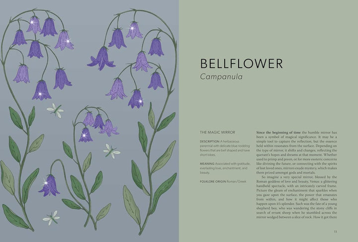 Folklore floral: los cuentos olvidados detrás de las plantas más encantadoras de la naturaleza