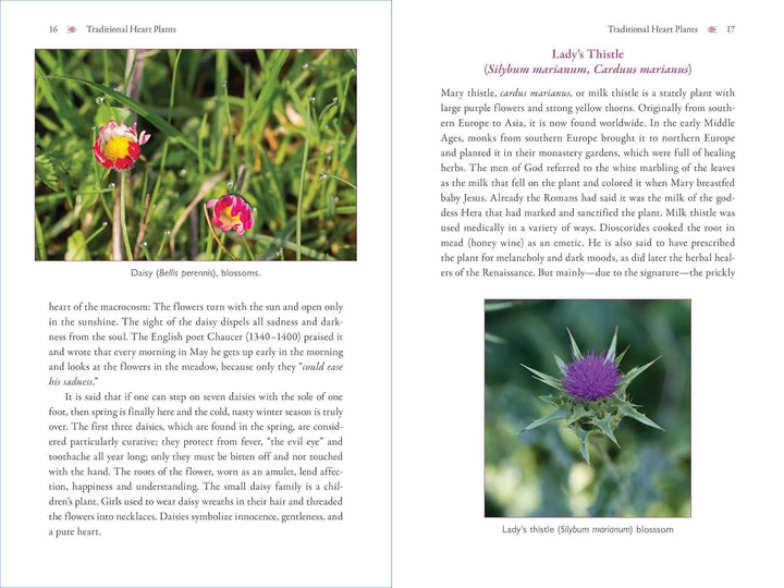 The Heart and Its Healing Plants: Traditional Herbal Remedies and Modern Heart Conditions