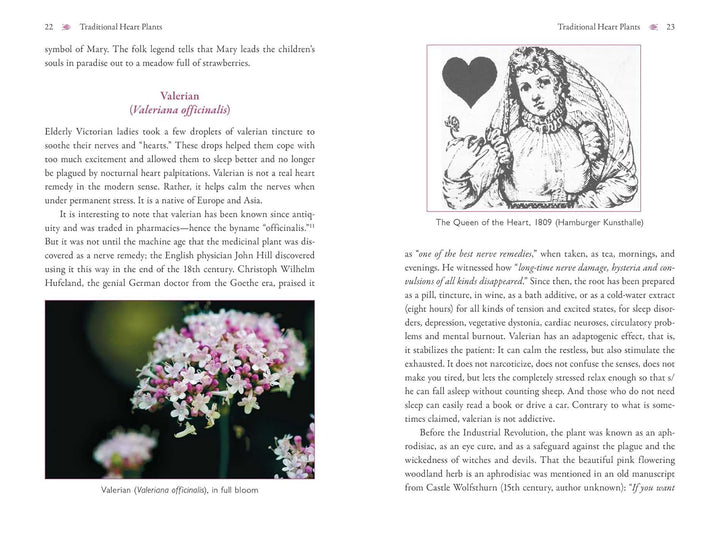 The Heart and Its Healing Plants: Traditional Herbal Remedies and Modern Heart Conditions