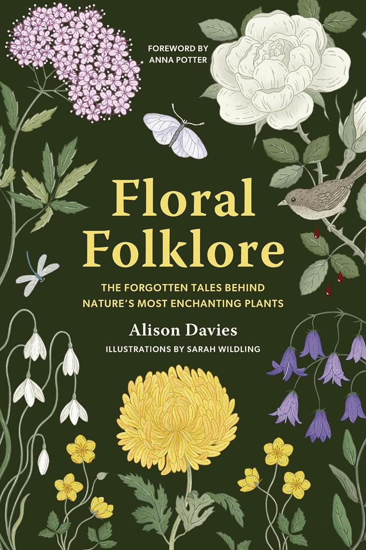Folklore floral: los cuentos olvidados detrás de las plantas más encantadoras de la naturaleza