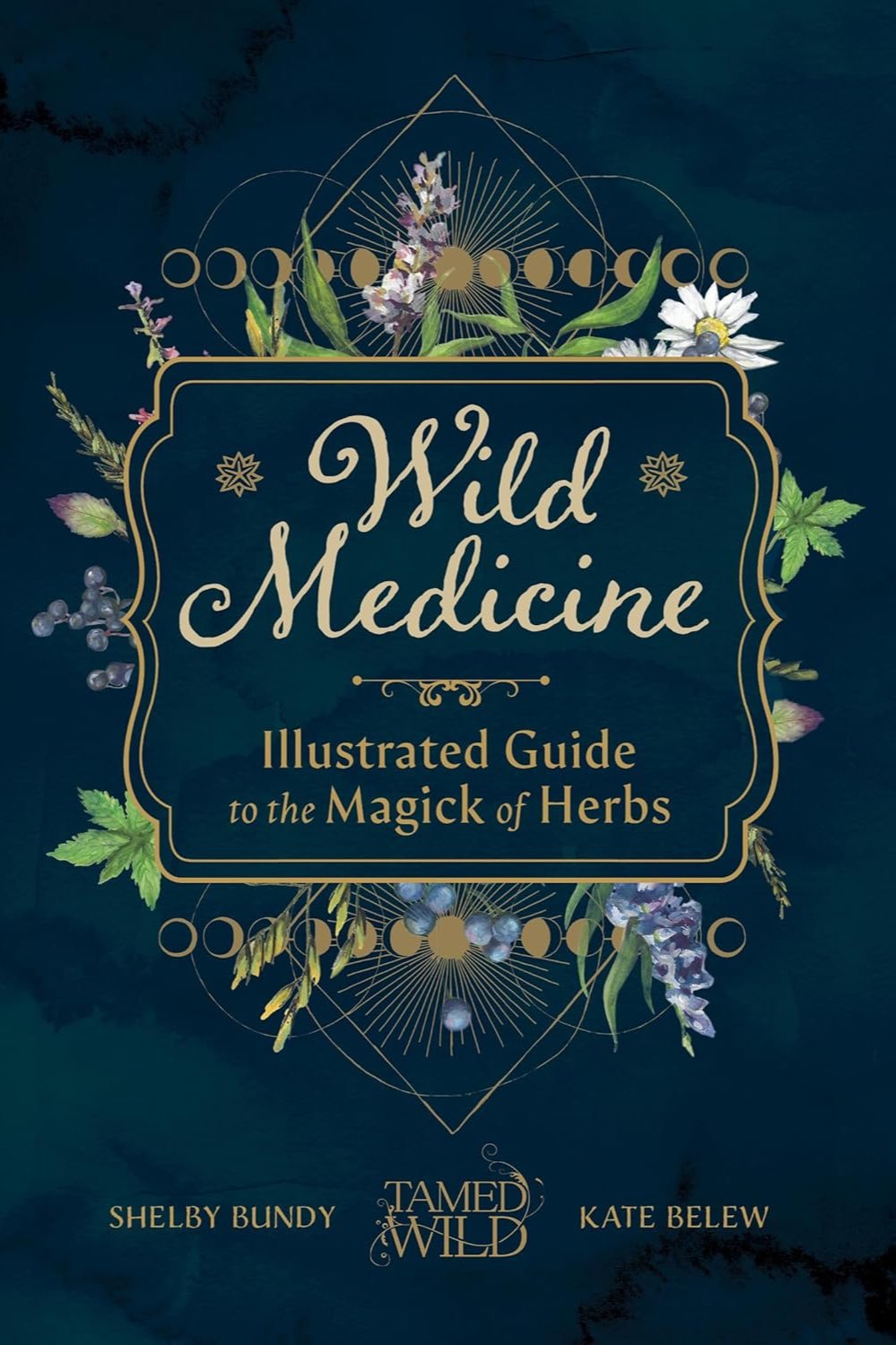 Médecine sauvage