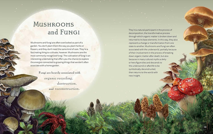 The Green Witch Illustrated: An Enchanting Immersion Into the Magic of Natural Witchcraft