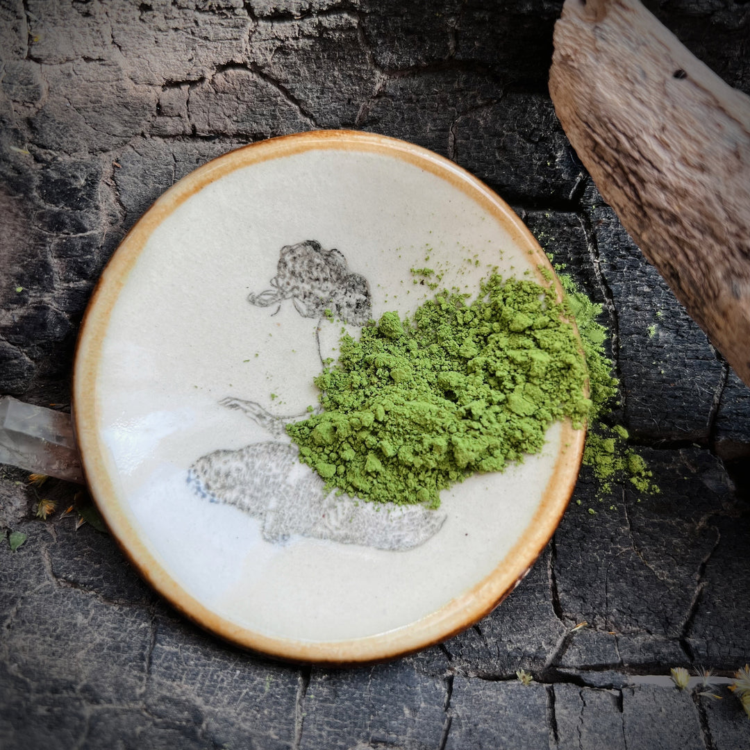 Ceremonial Japanese Matcha