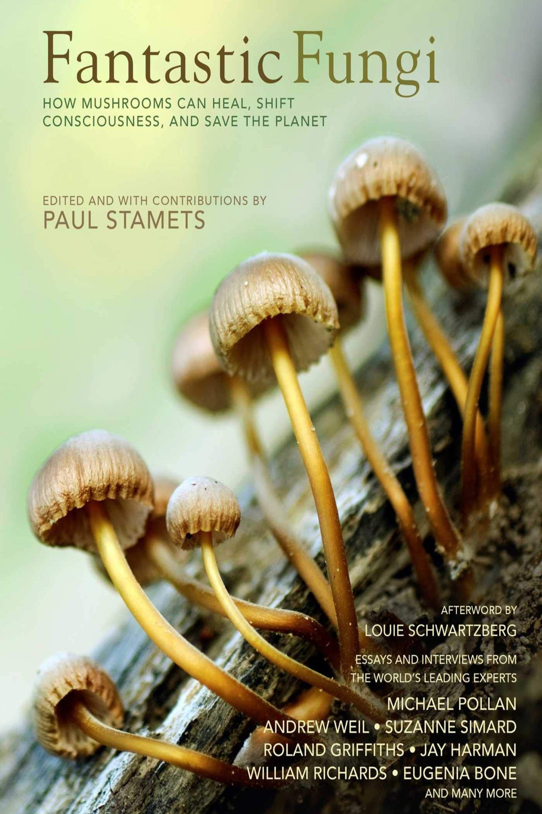 Champignons fantastiques