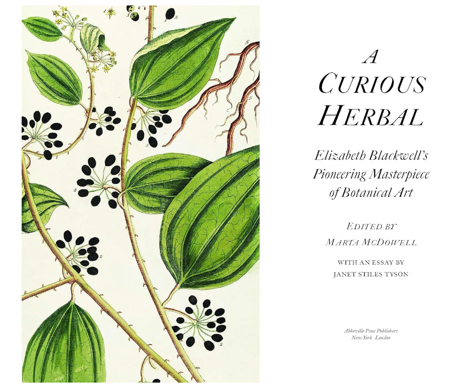 A Curious Herbal