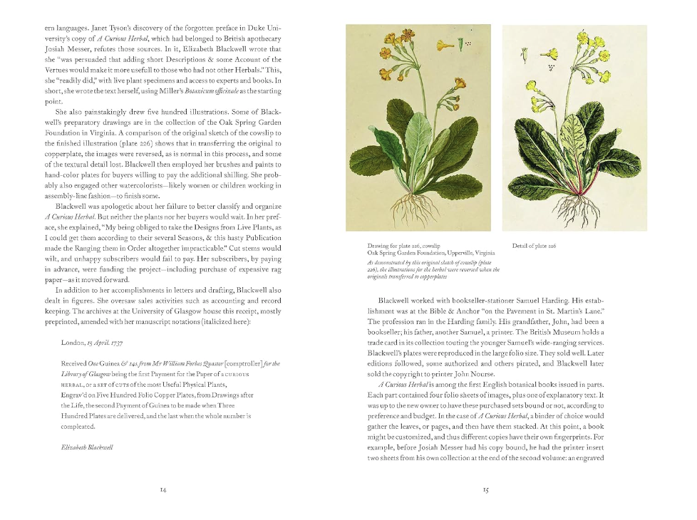 A Curious Herbal