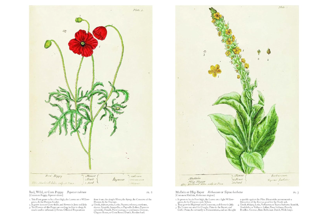 A Curious Herbal