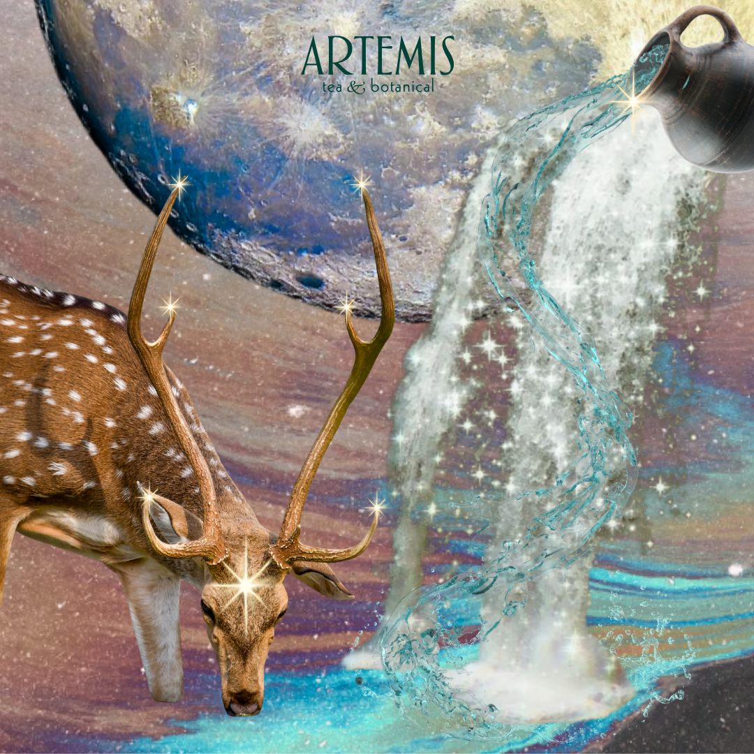 The Artemisia - Full Buck Moon