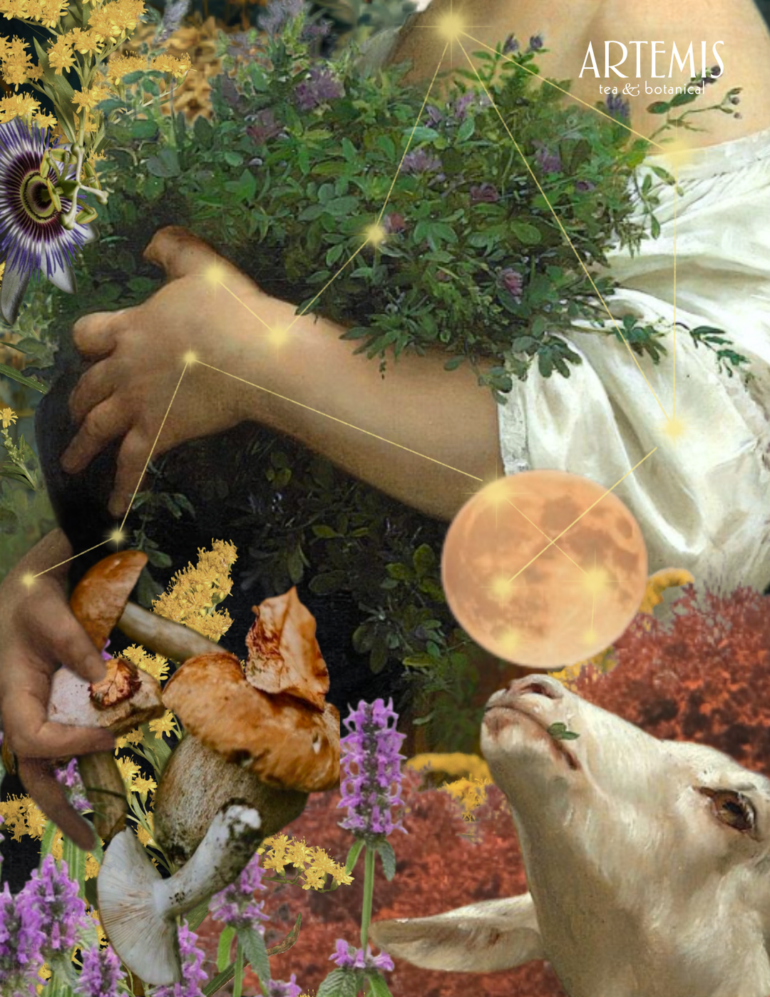 The Artemisia — The Harvest Moon