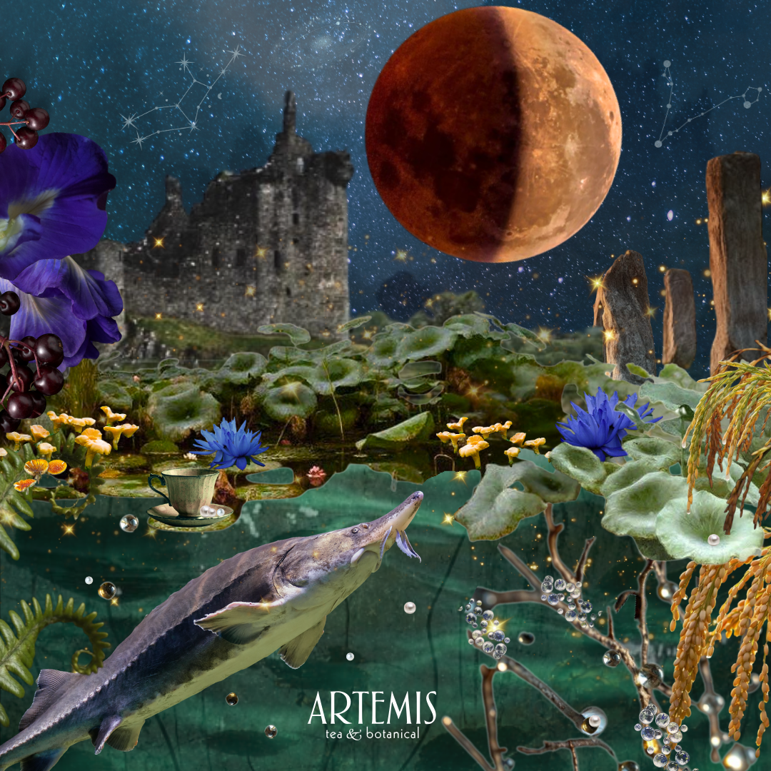 The Artemisia - Sturgeon Moon