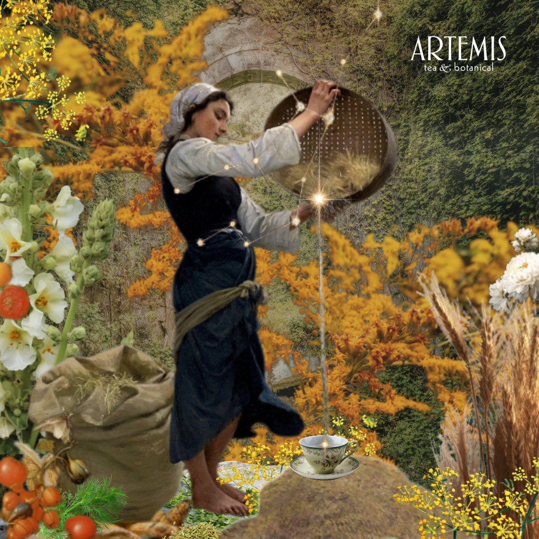 Astrologia Botanica - Virgo