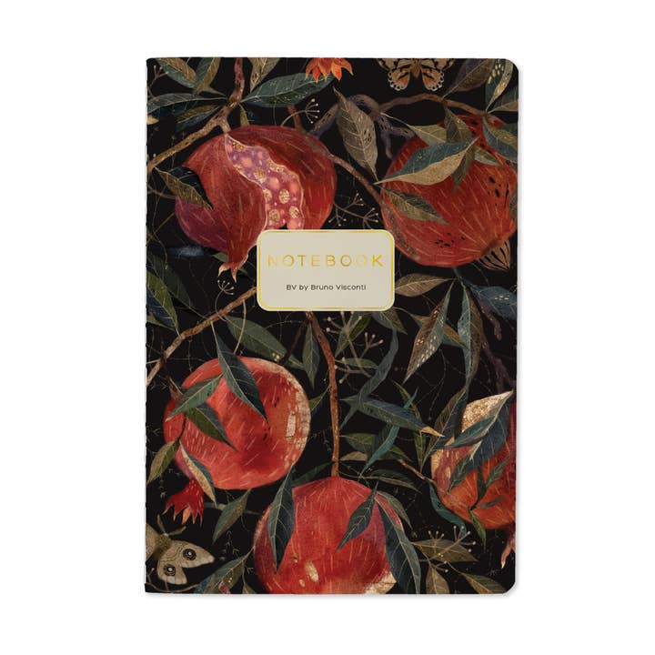 Bruno Visconti Notebooks