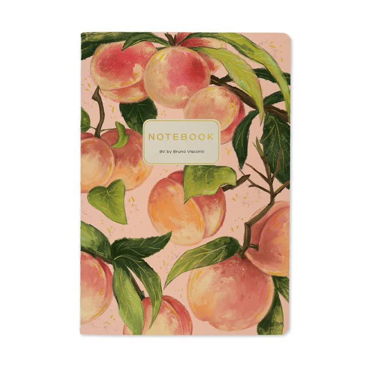 Bruno Visconti Notebooks
