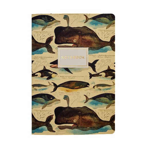 Bruno Visconti Notebooks