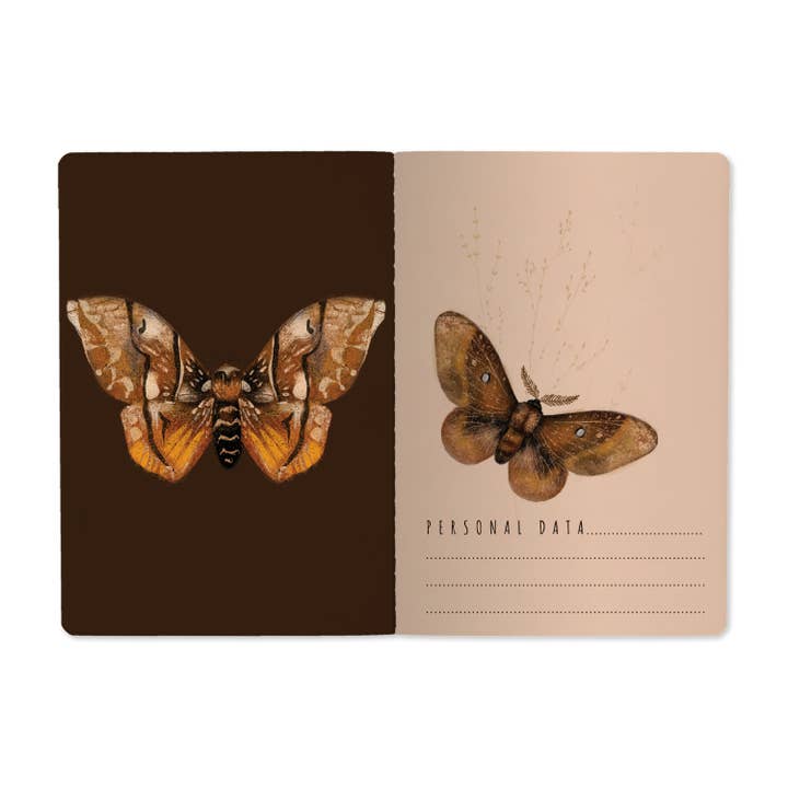 Bruno Visconti Notebooks