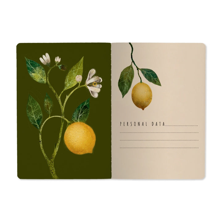Bruno Visconti Notebooks