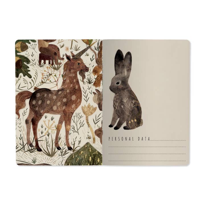 Bruno Visconti Notebooks