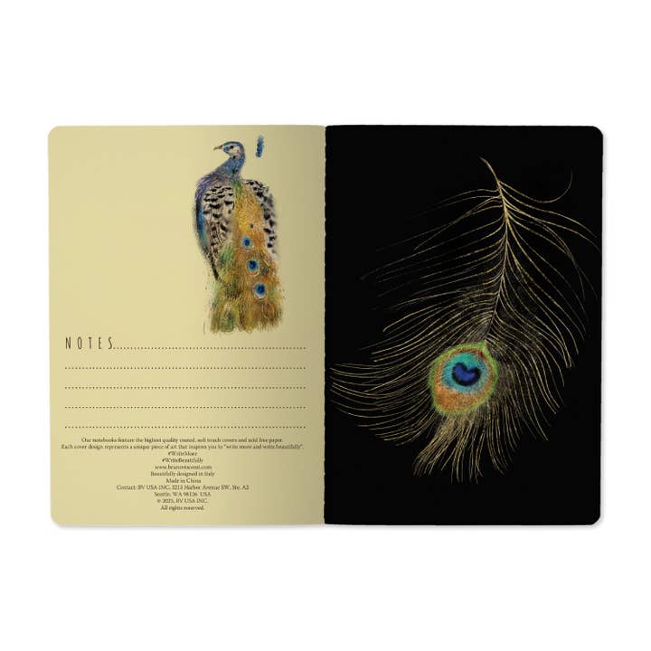 Bruno Visconti Notebooks