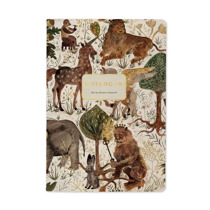 Bruno Visconti Notebooks