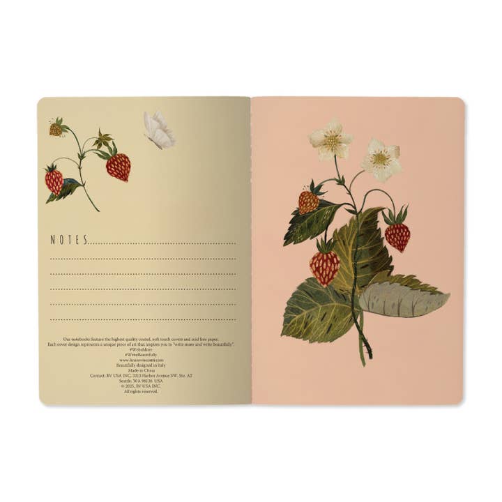 Bruno Visconti Notebooks