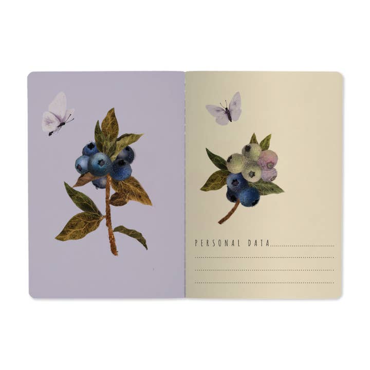 Bruno Visconti Notebooks
