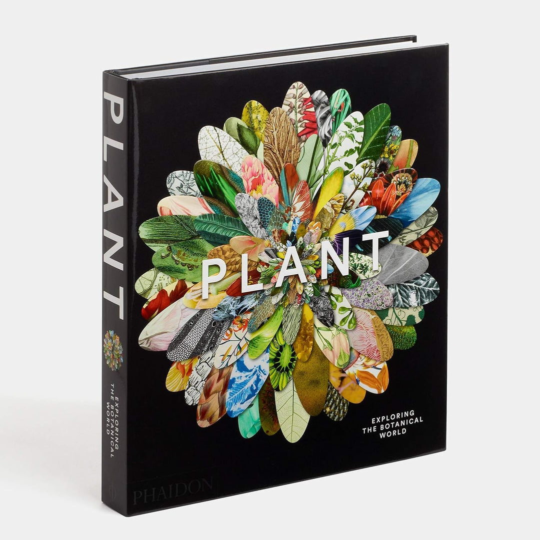 Plant: Exploring the Botanical World