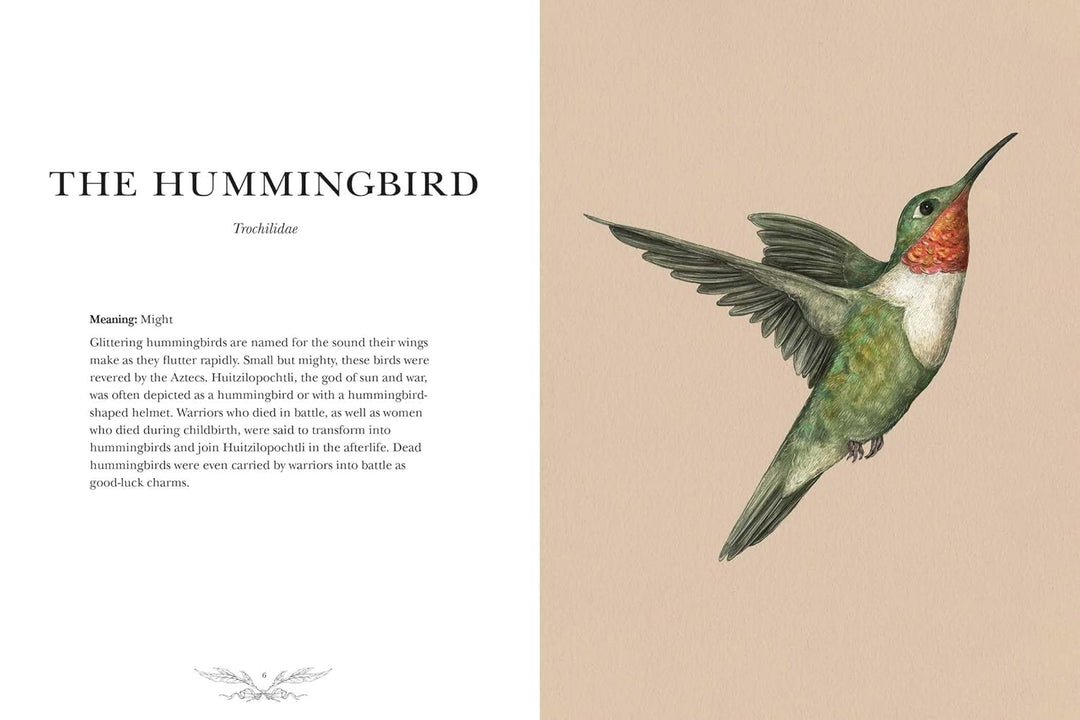 Ornithography