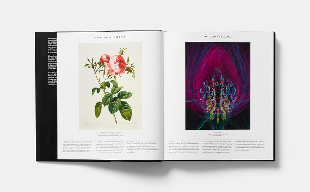 Plant: Exploring the Botanical World