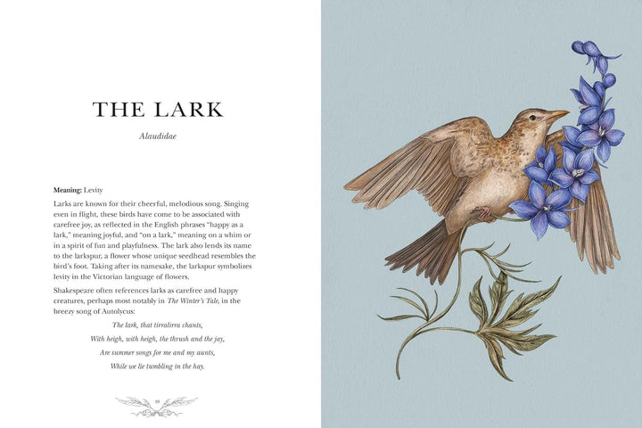 Ornithography