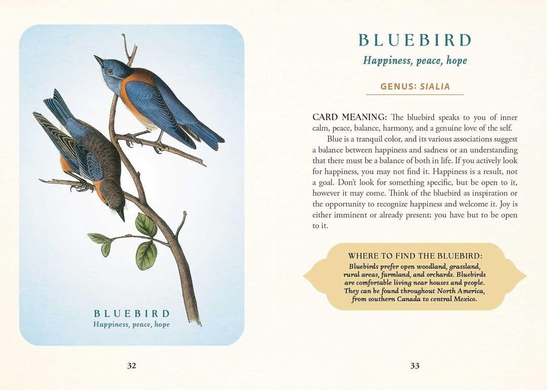 The Spiritual Meaning of Birds Oracle Deck