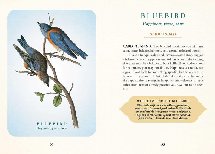 The Spiritual Meaning of Birds Oracle Deck