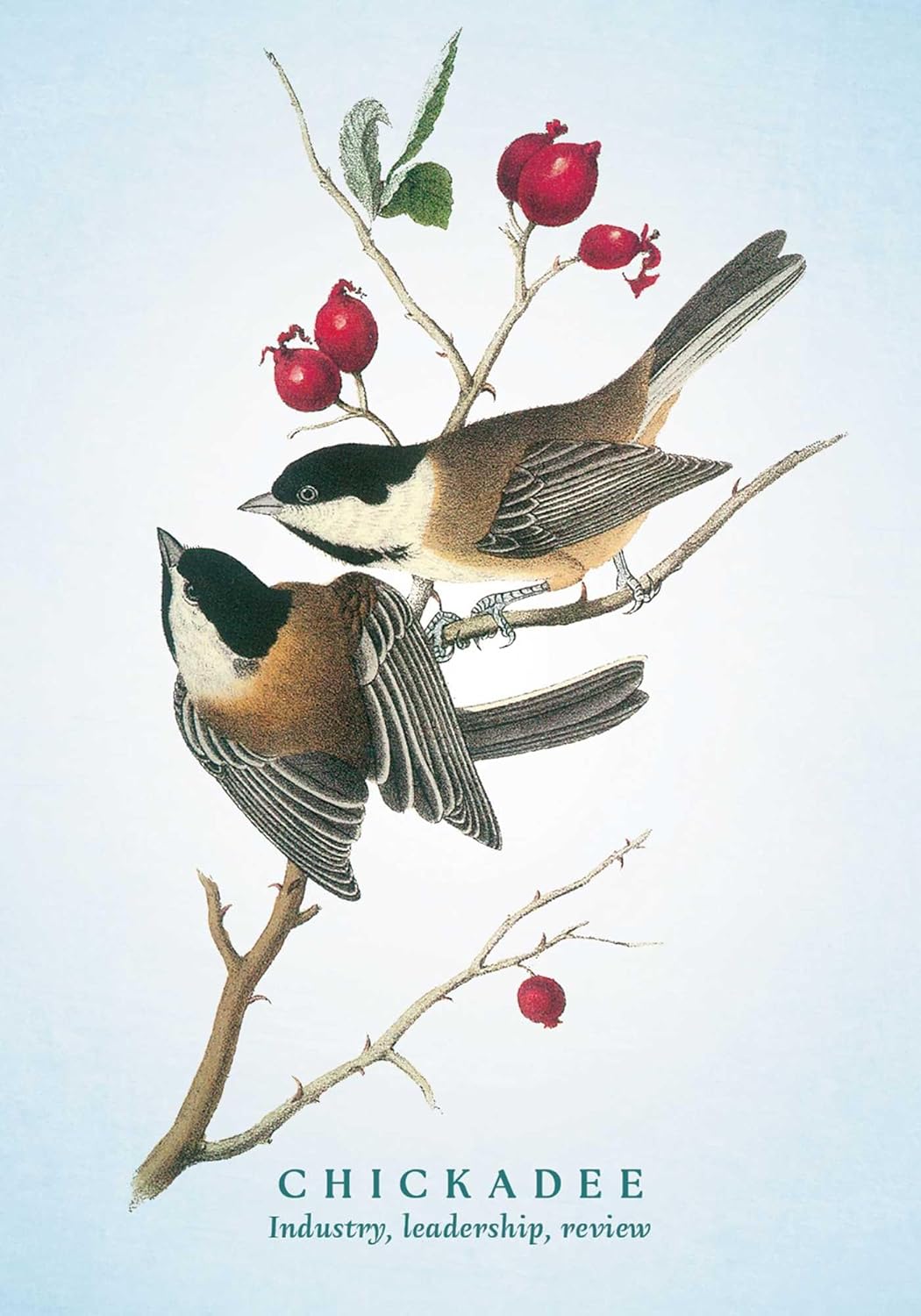 The Spiritual Meaning of Birds Oracle Deck