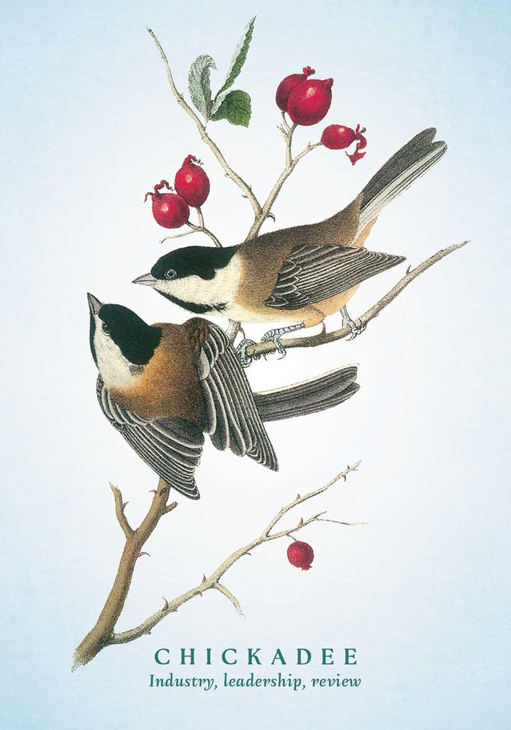 The Spiritual Meaning of Birds Oracle Deck