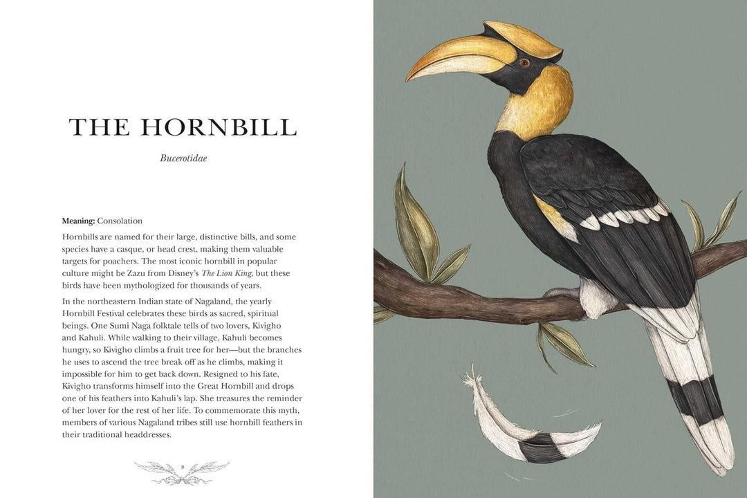 Ornithography