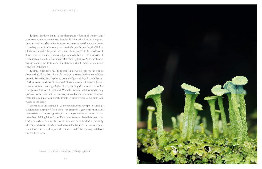 Entangled Life: The Illustrated Edition: How Fungi Make Our Worlds