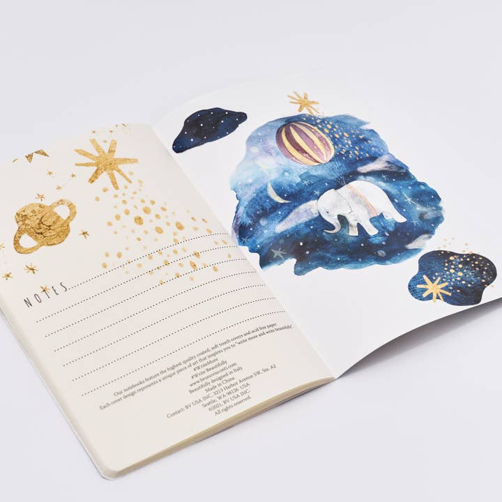 Bruno Visconti Notebooks