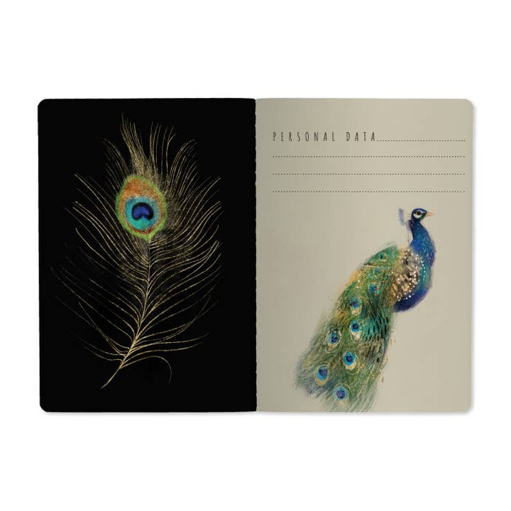 Bruno Visconti Notebooks