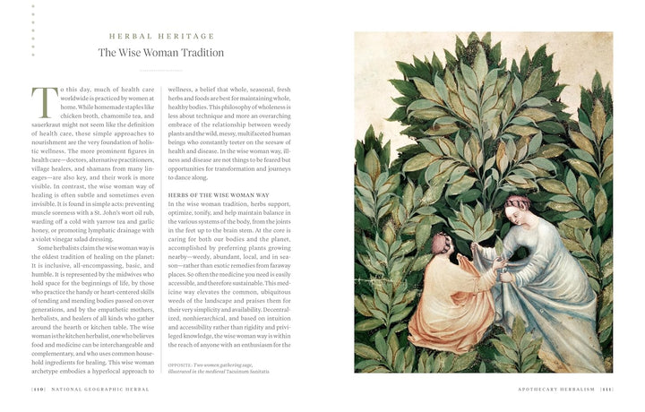 National Geographic Herbal: 100 hierbas de las tradiciones curativas del mundo