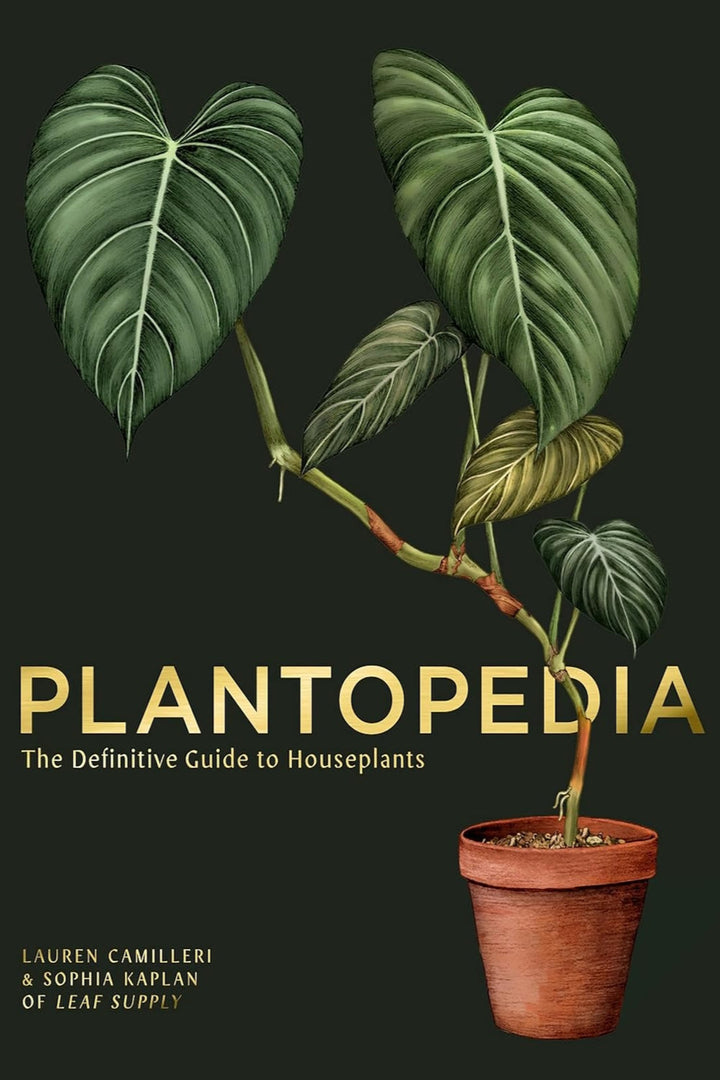 Plantopedia: La guía definitiva de las plantas de interior