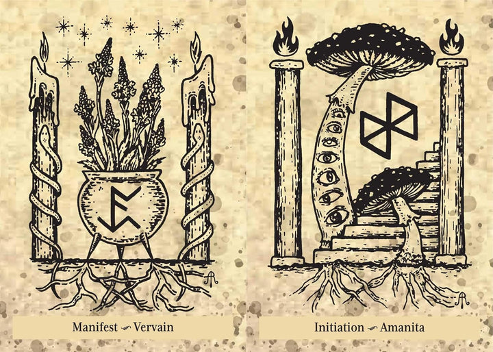 The Runes and Roots Oracle: A 36-Card Deck and Guidebook