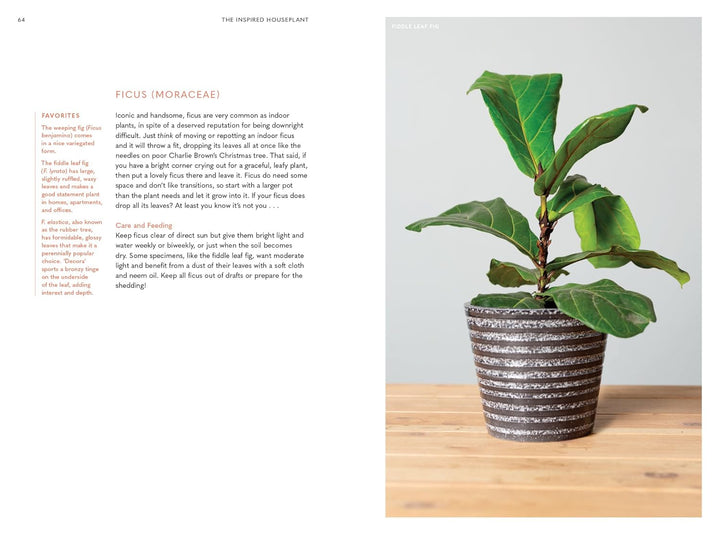 The Inspired Houseplant: A Guide to Modern Indoor Gardening