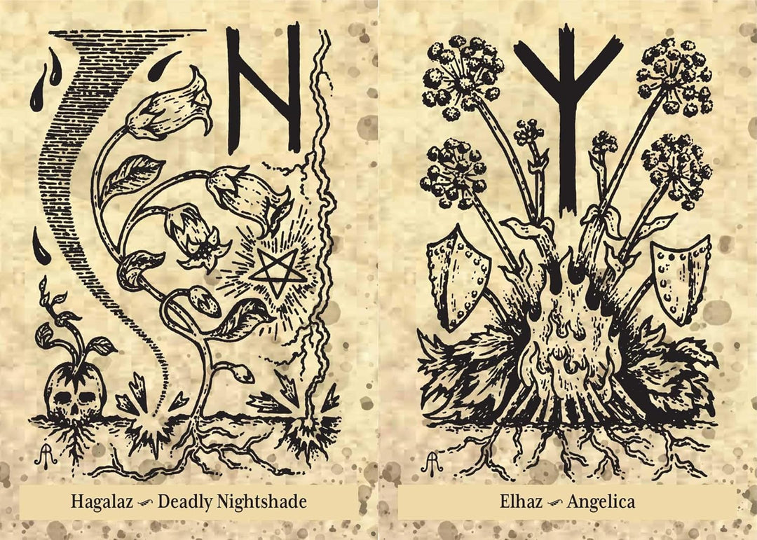 The Runes and Roots Oracle: A 36-Card Deck and Guidebook