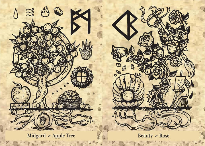 The Runes and Roots Oracle: A 36-Card Deck and Guidebook