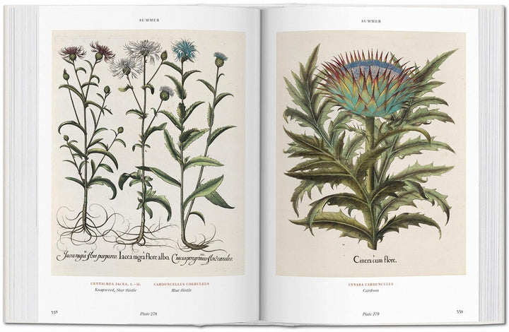 Florilegium: The Book of Plants