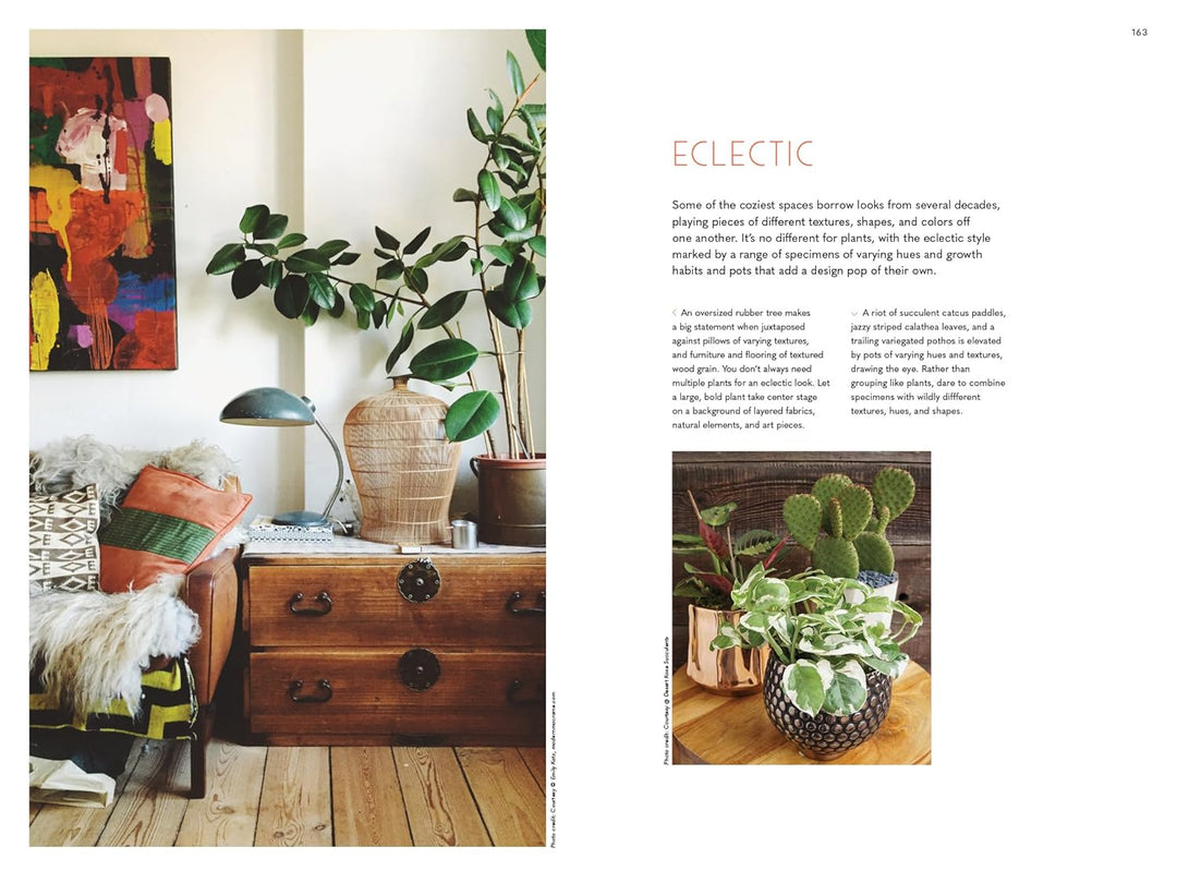 The Inspired Houseplant: A Guide to Modern Indoor Gardening