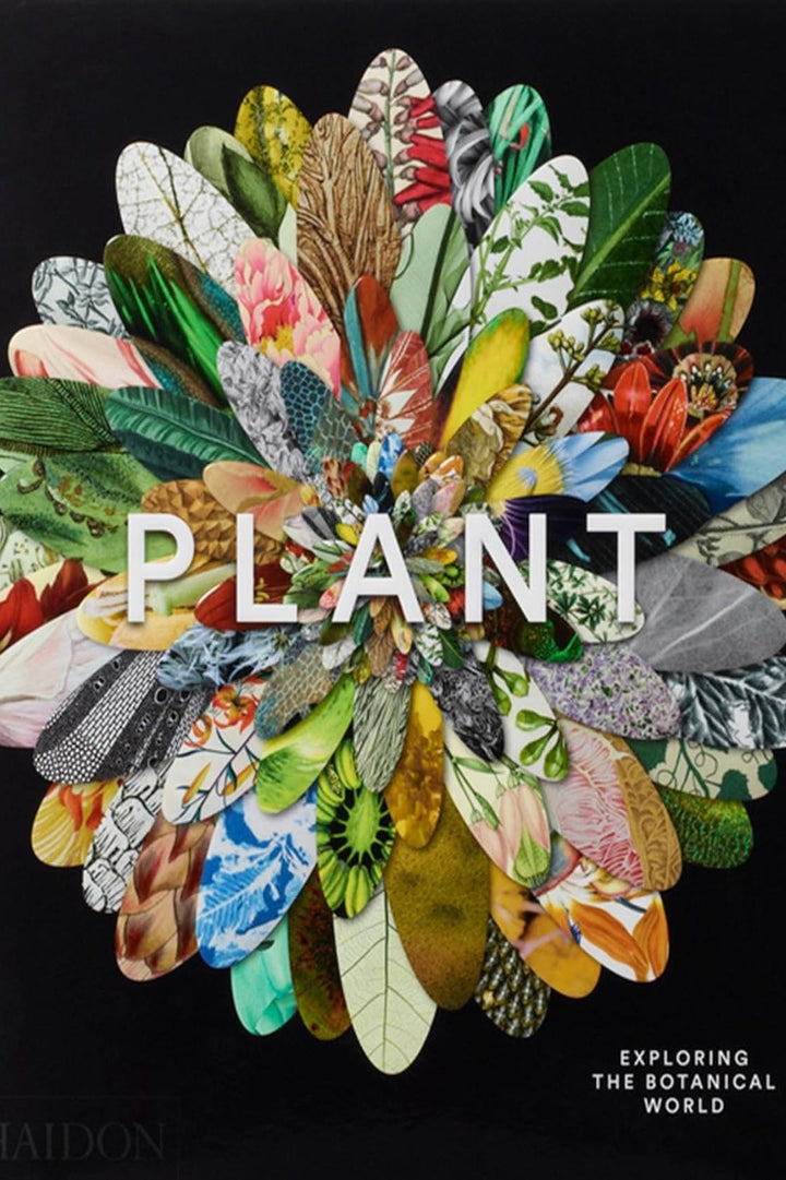 Plant: Exploring the Botanical World