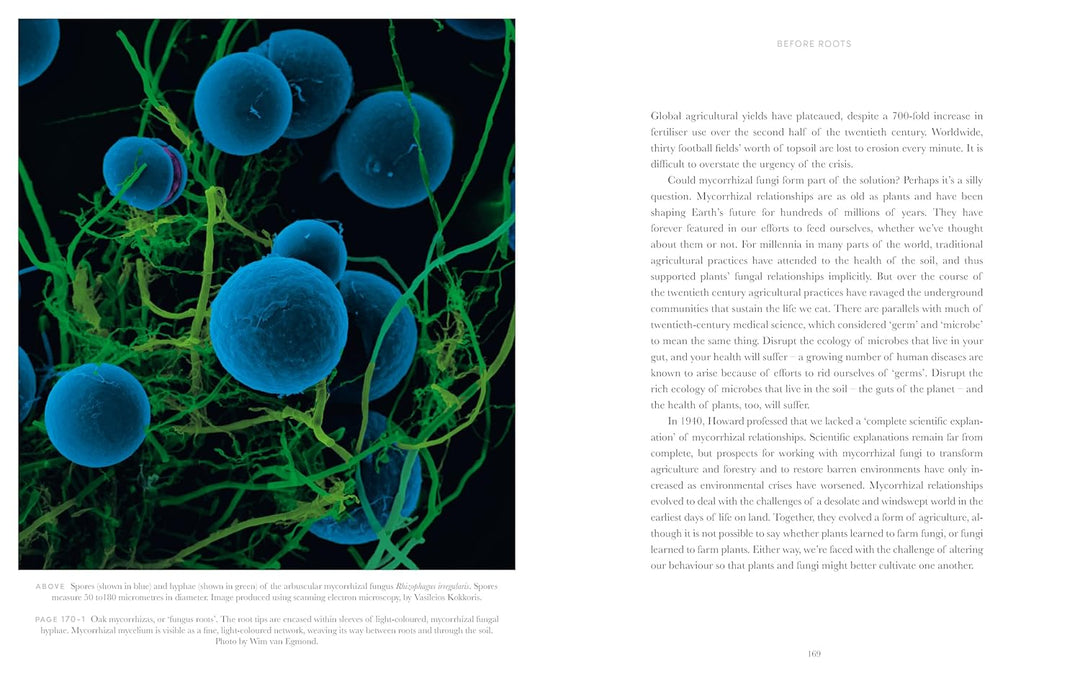 Entangled Life: The Illustrated Edition: How Fungi Make Our Worlds